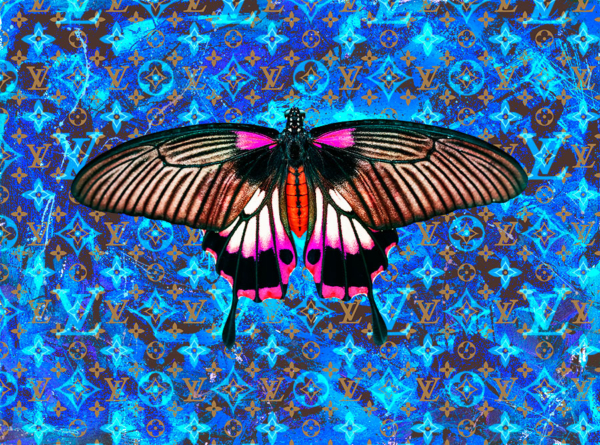 Butterfly Blue Light Amazing Pop Art Mix Media Painting by Bisca