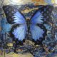 Blue Butterfly in Colorful Dream Amazing Pop Art Mix Media on Aluminum by Bisca
