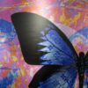Blue Butterfly on Purple Amazing Pop Art Mix Media on Aluminum by Bisca