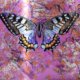 Colorful Butterfly on Pink Amazing Pop Art Mix Media on Aluminum by Bisca