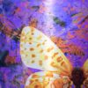 Butterfly Yellow Amazing Pop Art Mix Media on Aluminum by Bisca