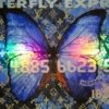Butterfly Express Blue, Amazing AMEX Art, American Express Mix Media Pop Art
